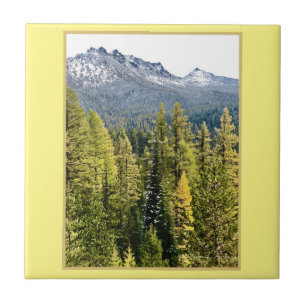 Azulejo Tamarack Gold