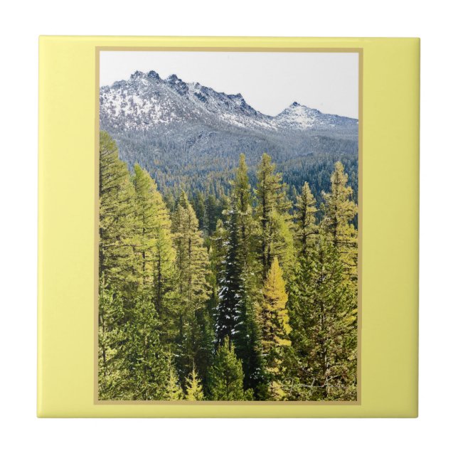 Azulejo Tamarack Gold (Frente)