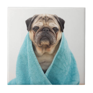 Azulejo Tapar una toalla