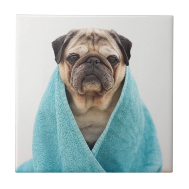 Azulejo Tapar una toalla (Frente)