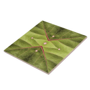 Azulejo Tapiz de oliva tufada