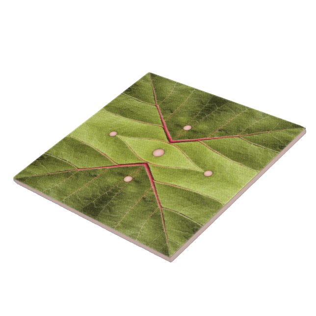 Azulejo Tapiz de oliva tufada (Lado)