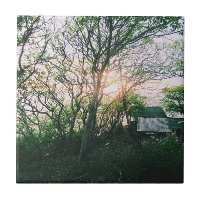 Azulejo Tarjeta magnética (Frente)