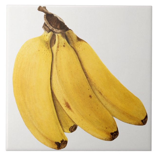 Azulejo Tejido de cerámica botánica vintage (Frente)