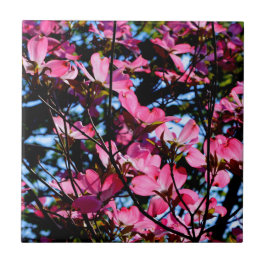 Azulejo Tejido de madera de palo rosa con flores de cerámi