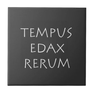 Azulejo Tempus edax rerum
