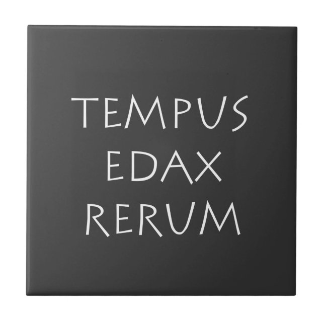 Azulejo Tempus edax rerum (Frente)
