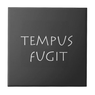Azulejo Tempus fugit