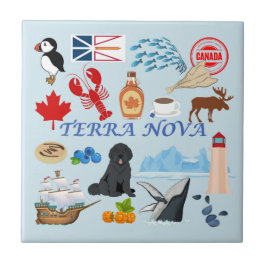 Azulejo Terra Nova Newfoundland