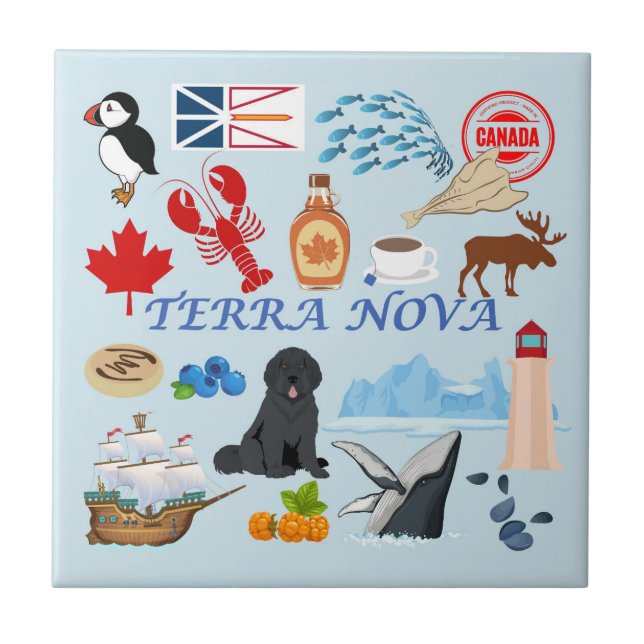 Azulejo Terra Nova Newfoundland (Frente)