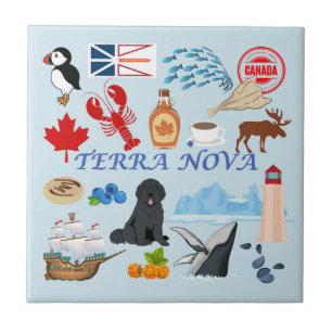 Azulejo Terra Nova Terranova