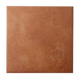 Azulejo Terracotta red simple rustic 