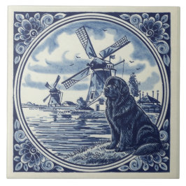Azulejo Terranova en los molinos de viento holandeses