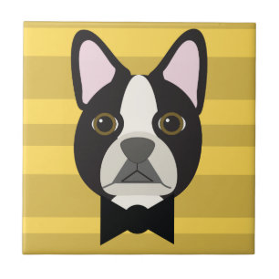Azulejo Terrier de Boston