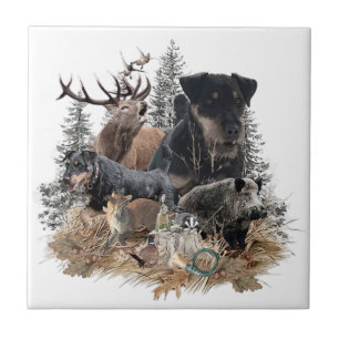 Azulejo Terrier de caza alemán (Jagdterrier)