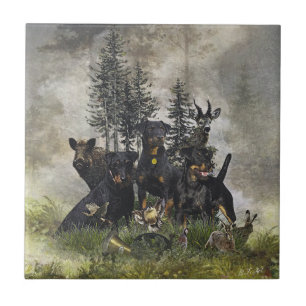 Azulejo Terrier de caza alemán (Jagdterrier)