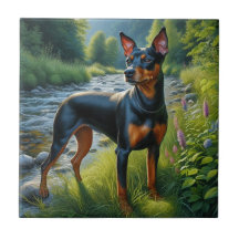 Terrier de Mánchester