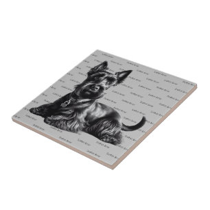 Azulejo Terrier escocés en