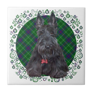 Azulejo Terrier Escocés sobre Tartán