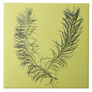 Azulejo Tesoro textural del verano en una tela cerámica - 