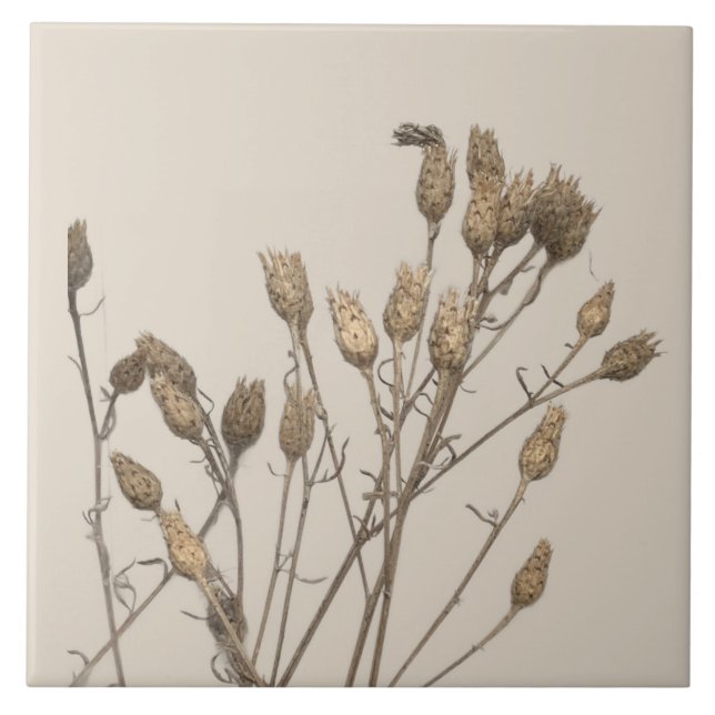 Azulejo Tesoros texturales de invierno en una tela cerámic (Frente)