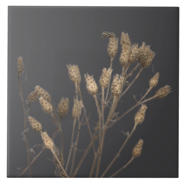 Azulejo Tesoros texturales de invierno en una tela cerámic (Frente)