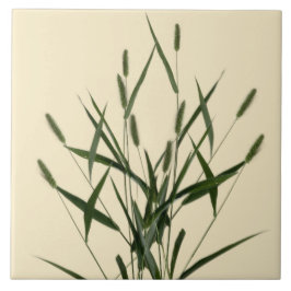 Azulejo Tesoros texturales de verano en una tela cerámica 