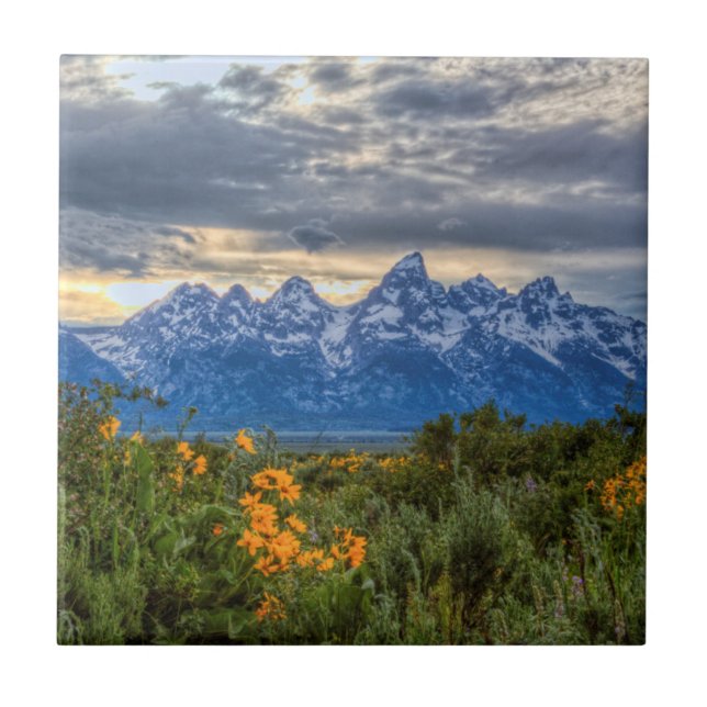 Azulejo Tetons magnífico (Frente)