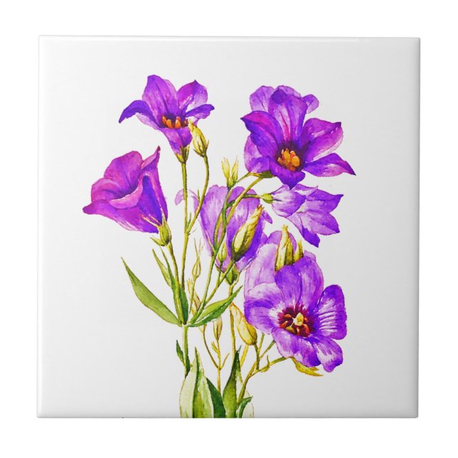 Azulejo Texas Bluebells Eustoma Russellianum (Frente)