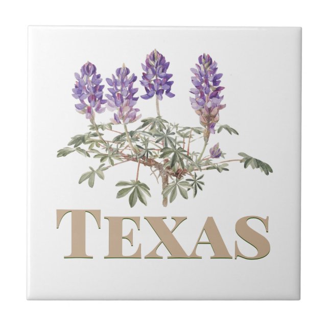 Azulejo Texas Bluebonnet 2 (Frente)
