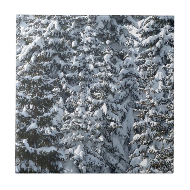 Azulejo Textura de árbol de flor de nieve (Frente)