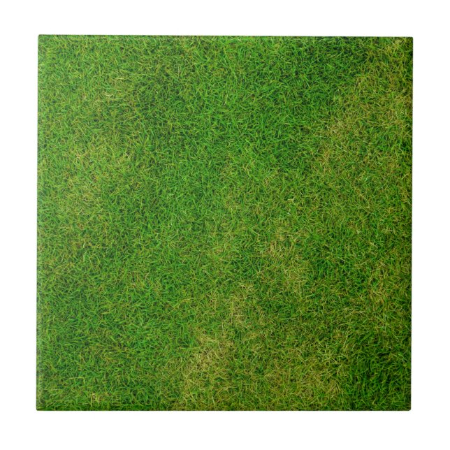 Azulejo Textura de césped verde (Frente)