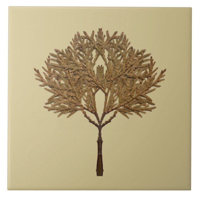 Azulejo Textural Treasures of Winter on Ceramic Tile - D1 (Frente)
