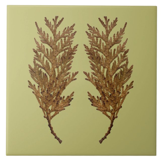 Azulejo Textural Treasures of Winter on Ceramic Tile - D3 (Frente)