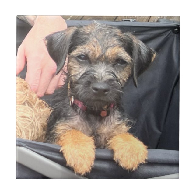 Azulejo Thatch (Frente)