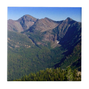 Azulejo The Soup Bowl