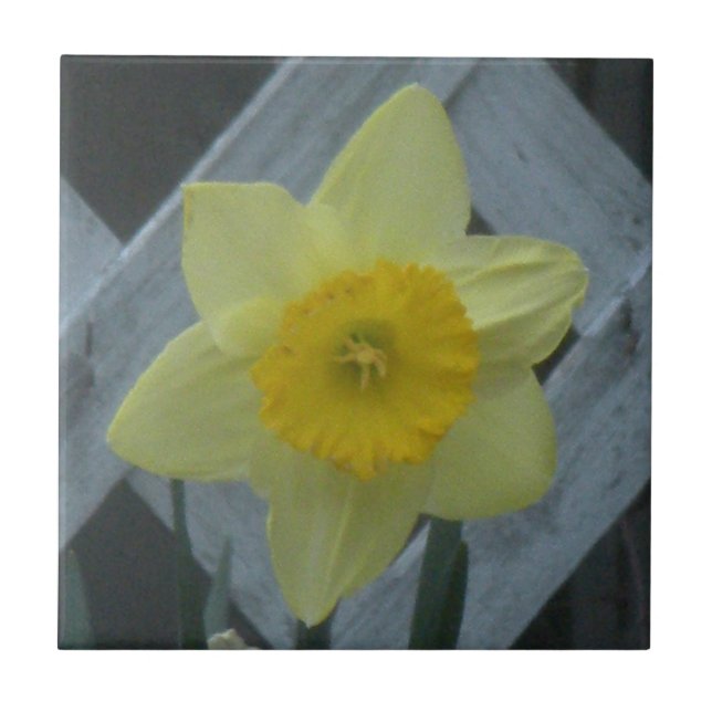 Azulejo Think Spring! (Frente)