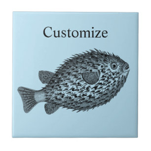 Azulejo Thunder_Cove, pez globo porcupino