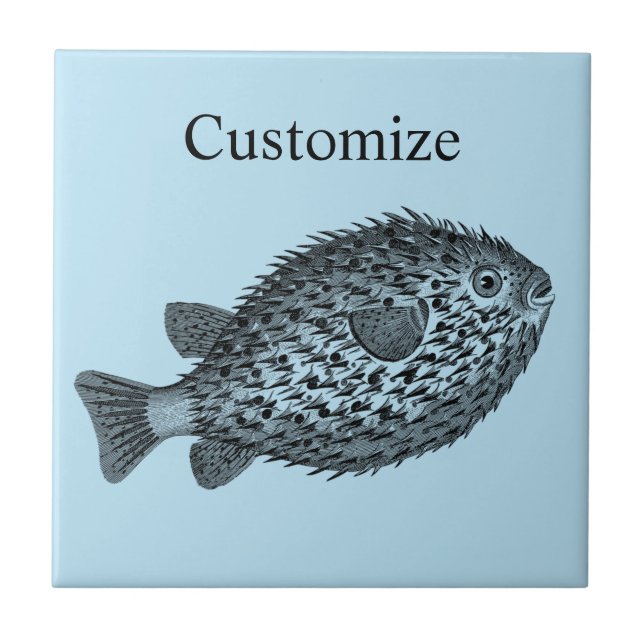 Azulejo Thunder_Cove, pez globo porcupino (Frente)