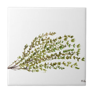 Azulejo Thyme hierbas cocina arte acuarela pintura