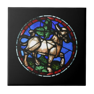 Azulejo Ti del Notre-Dame de Paris del vitral del zodiaco
