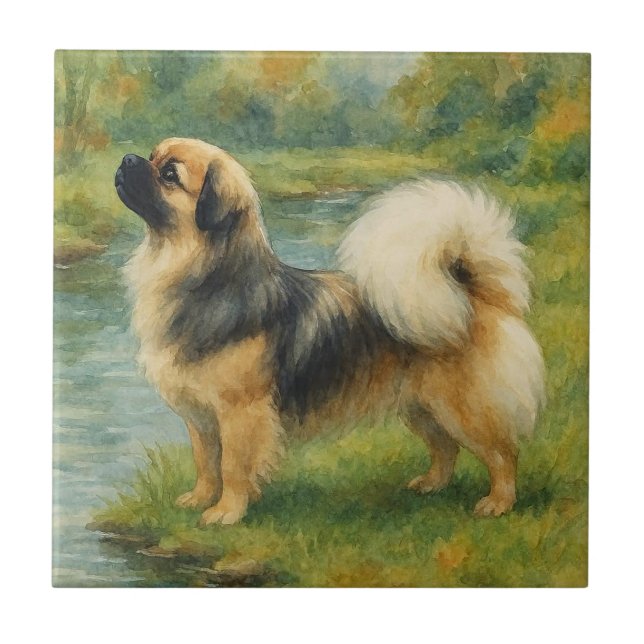 Azulejo Tibetan Spaniel (Frente)