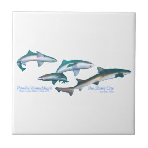 Azulejo Tiburones rodados