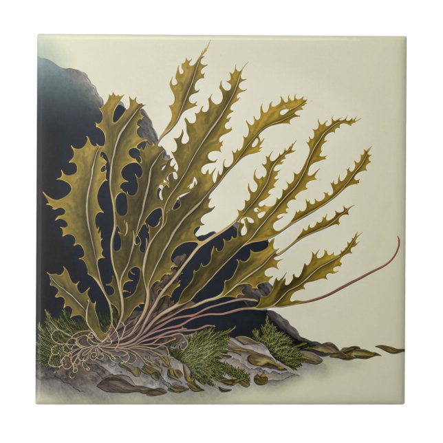 Azulejo Tidal Fronds (Frente)