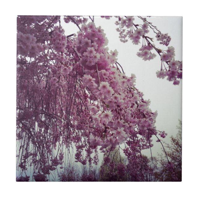 Azulejo Tiempo de primavera (Frente)