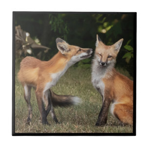 Azulejo ¿Tienes Una Moneda?