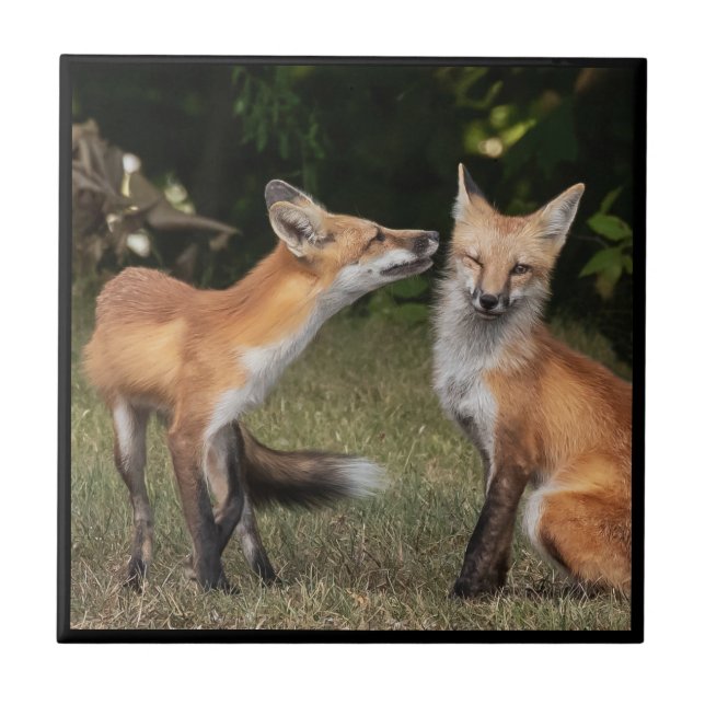 Azulejo ¿Tienes Una Moneda? (Frente)