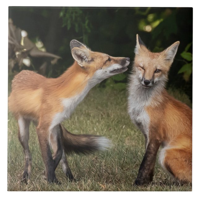 Azulejo ¿Tienes Una Moneda? (Frente)