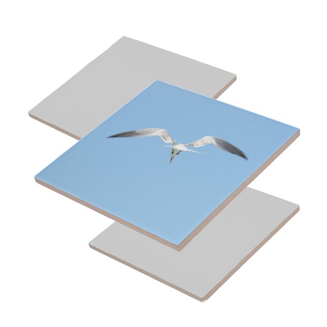 Azulejo Tierra real en azul de la costa de vuelo (1 of 7 coordinating coastal Terns in flight ceramic tiles)