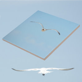 Azulejo Tierra Real en el cielo azul de la costa del vuelo